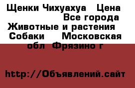 Щенки Чихуахуа › Цена ­ 12000-15000 - Все города Животные и растения » Собаки   . Московская обл.,Фрязино г.